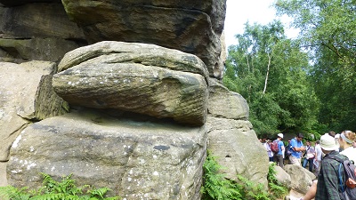 Photo of a rock surrounded by greenery